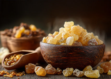Boswalia in wooden bowls filled with resinous substance on a dark background