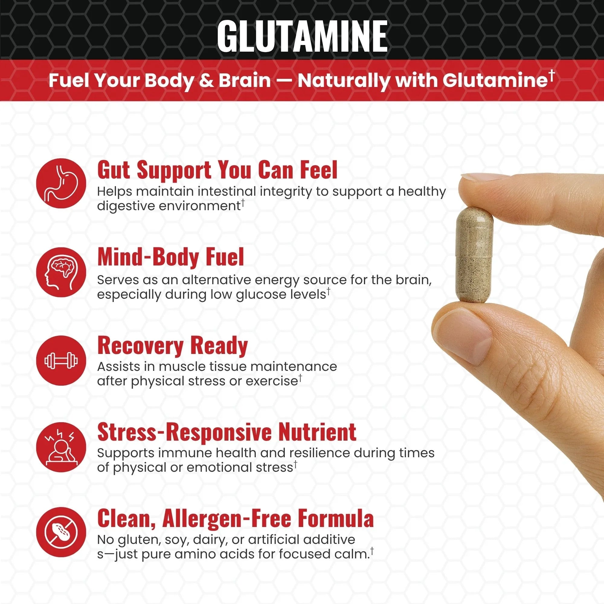 Glutamine - Pain & Stress Center