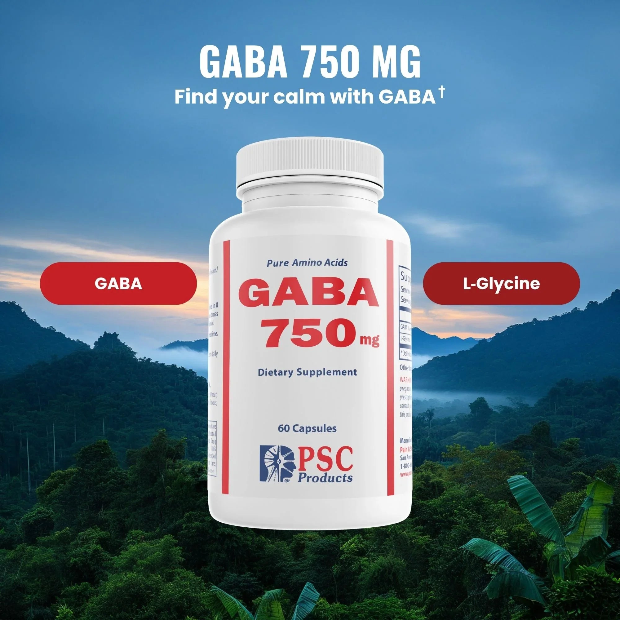 GABA 750 mg - Pain & Stress Center
