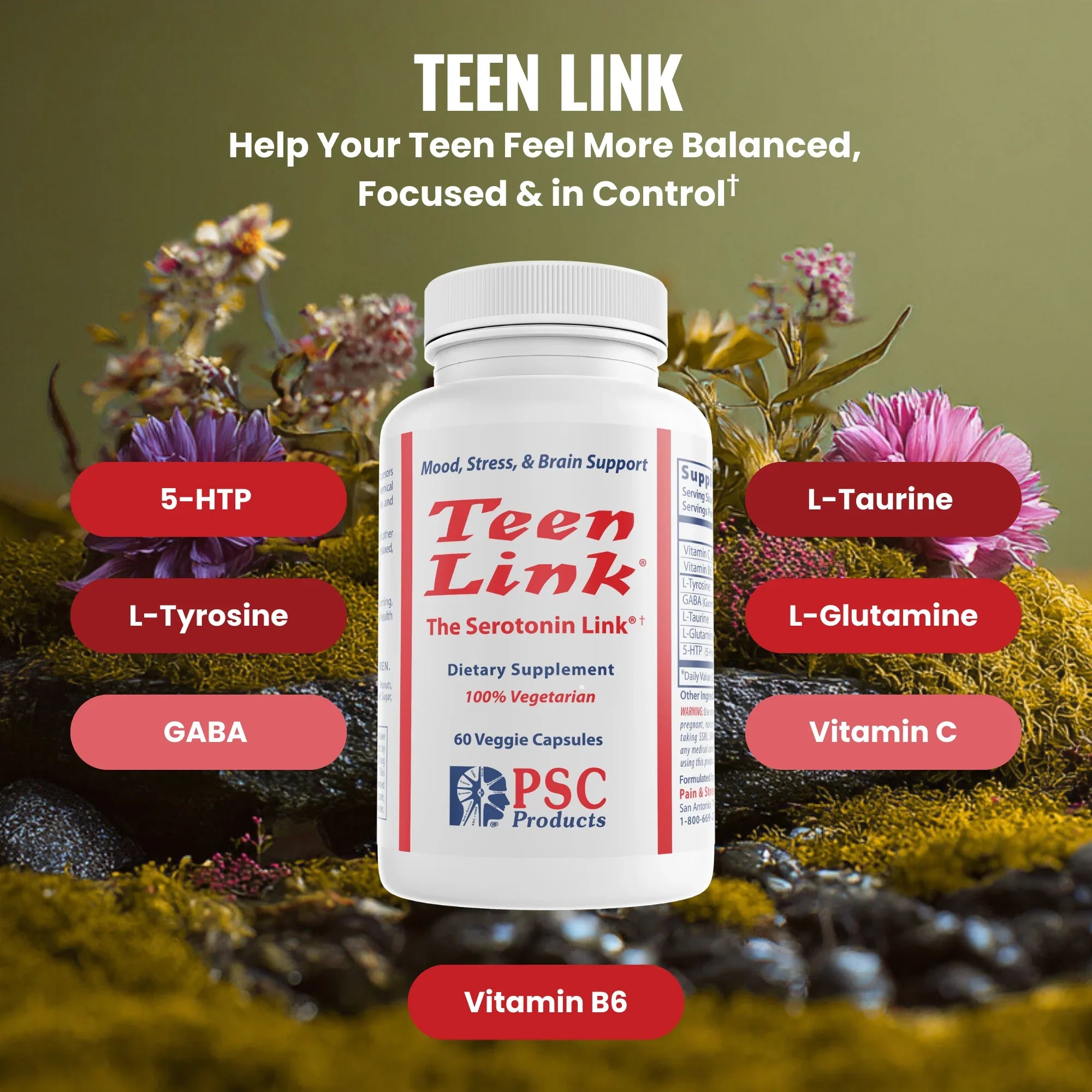 Teen Link® - Pain & Stress Center